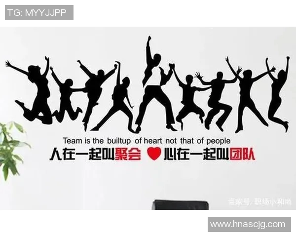 实时新闻排球新手必看轻松掌握团队协作技巧与实战策略